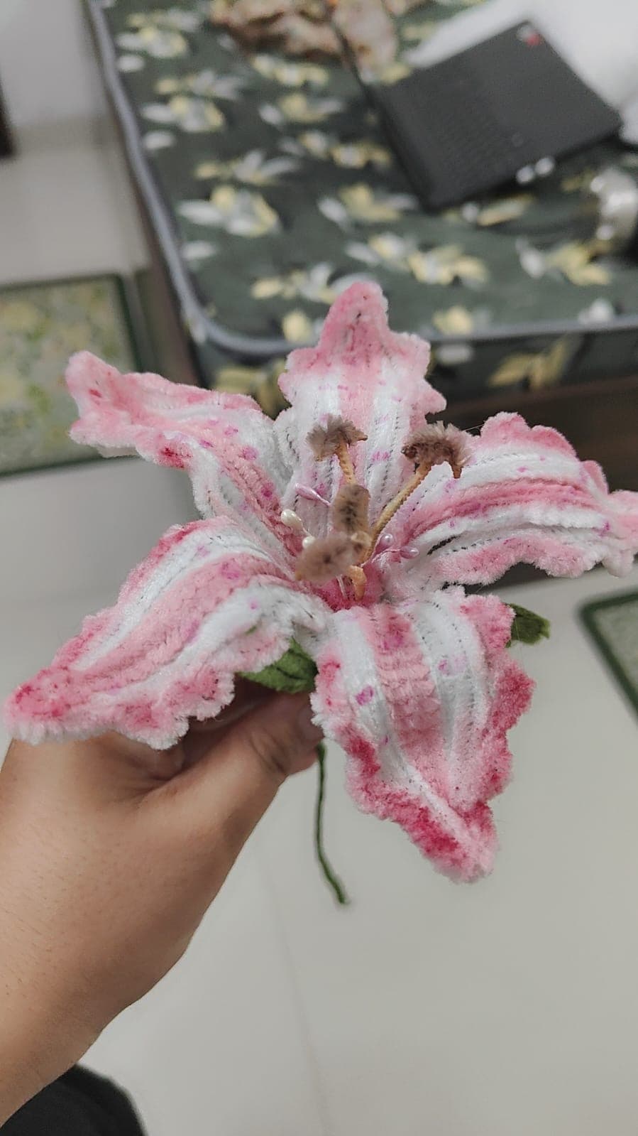 A close-up of a single soft pink crochet lily.